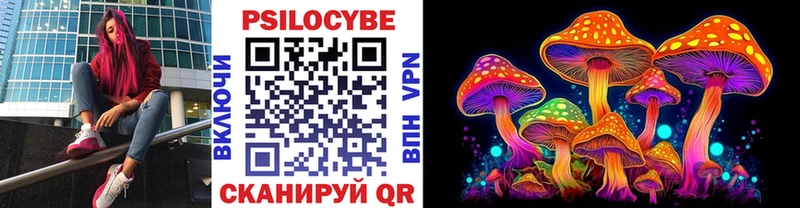 Купить  Заозёрск  Галлюциногенные грибы GOLDEN TEACHER 